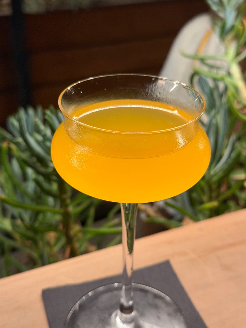 P.c.h Gimlet