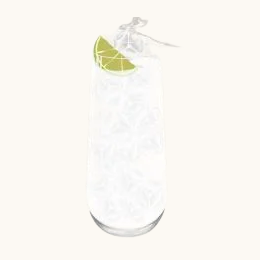 Hwayo Tonic