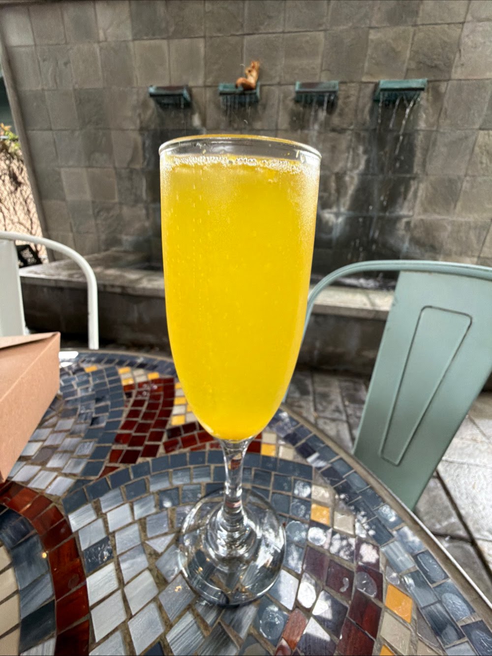 Mimosa