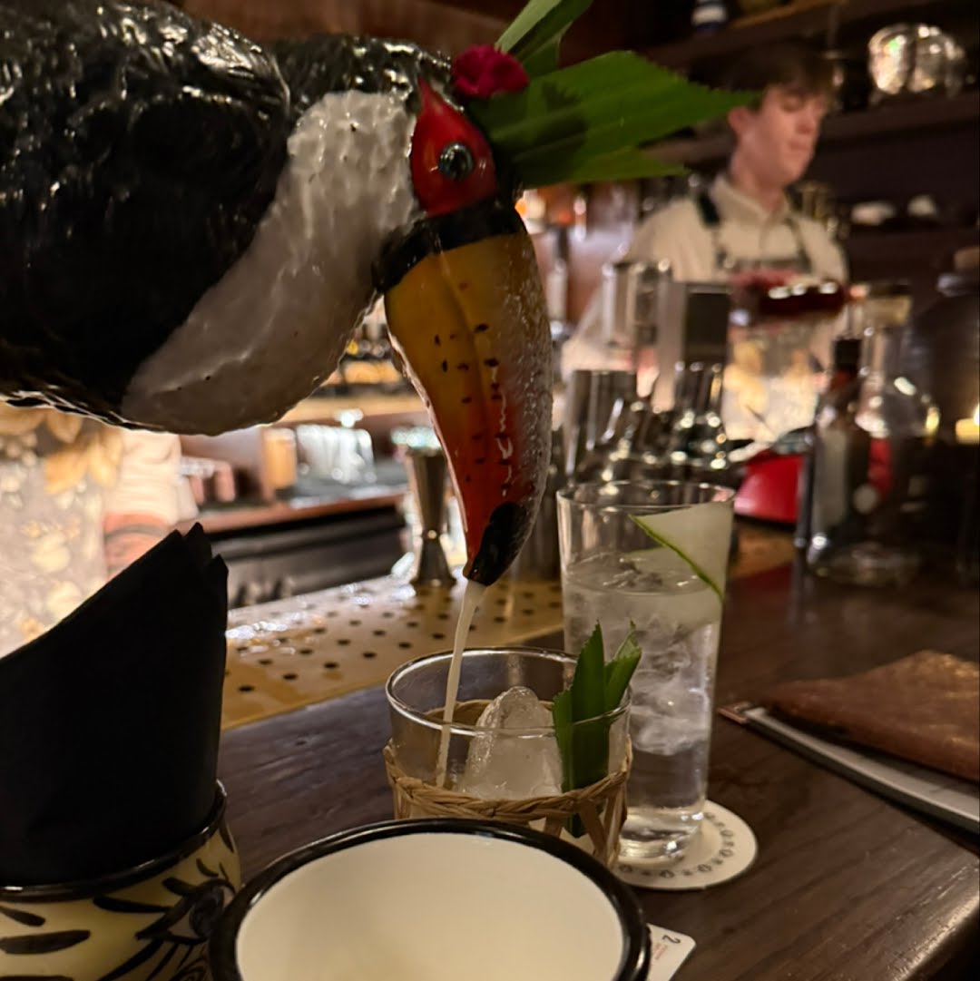 Toucan Colada