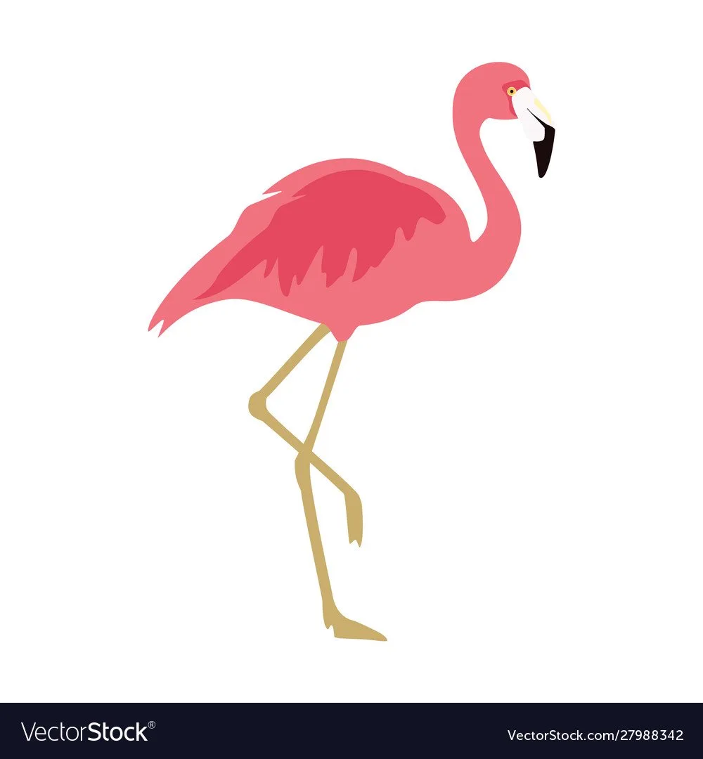 The Flamingo Room