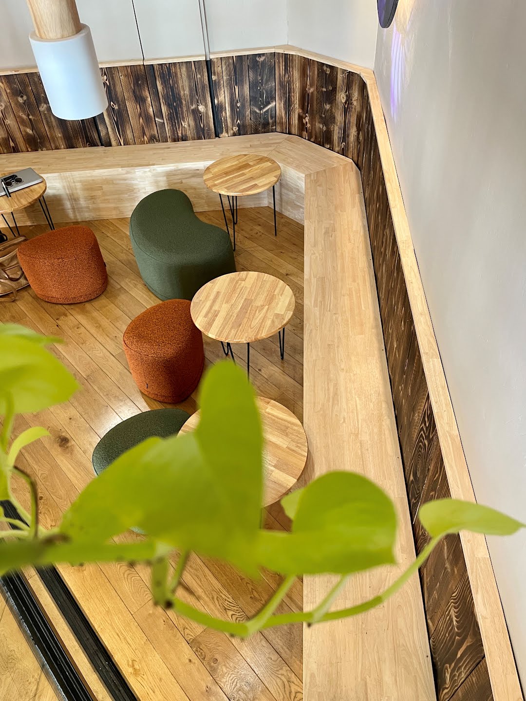 Cactus Bar