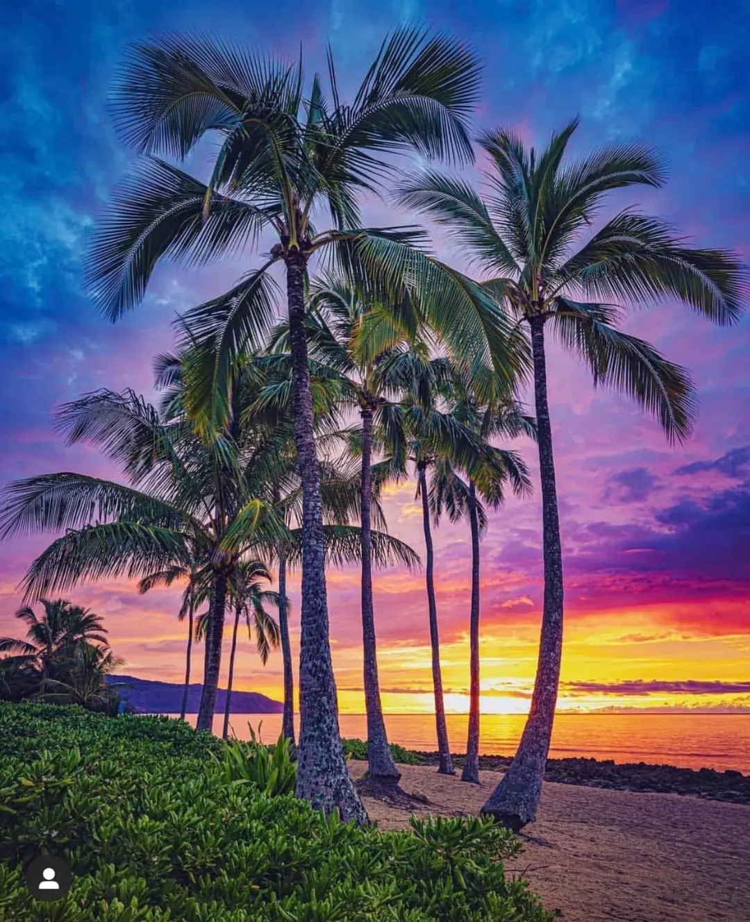 Noelani's Island Grill
