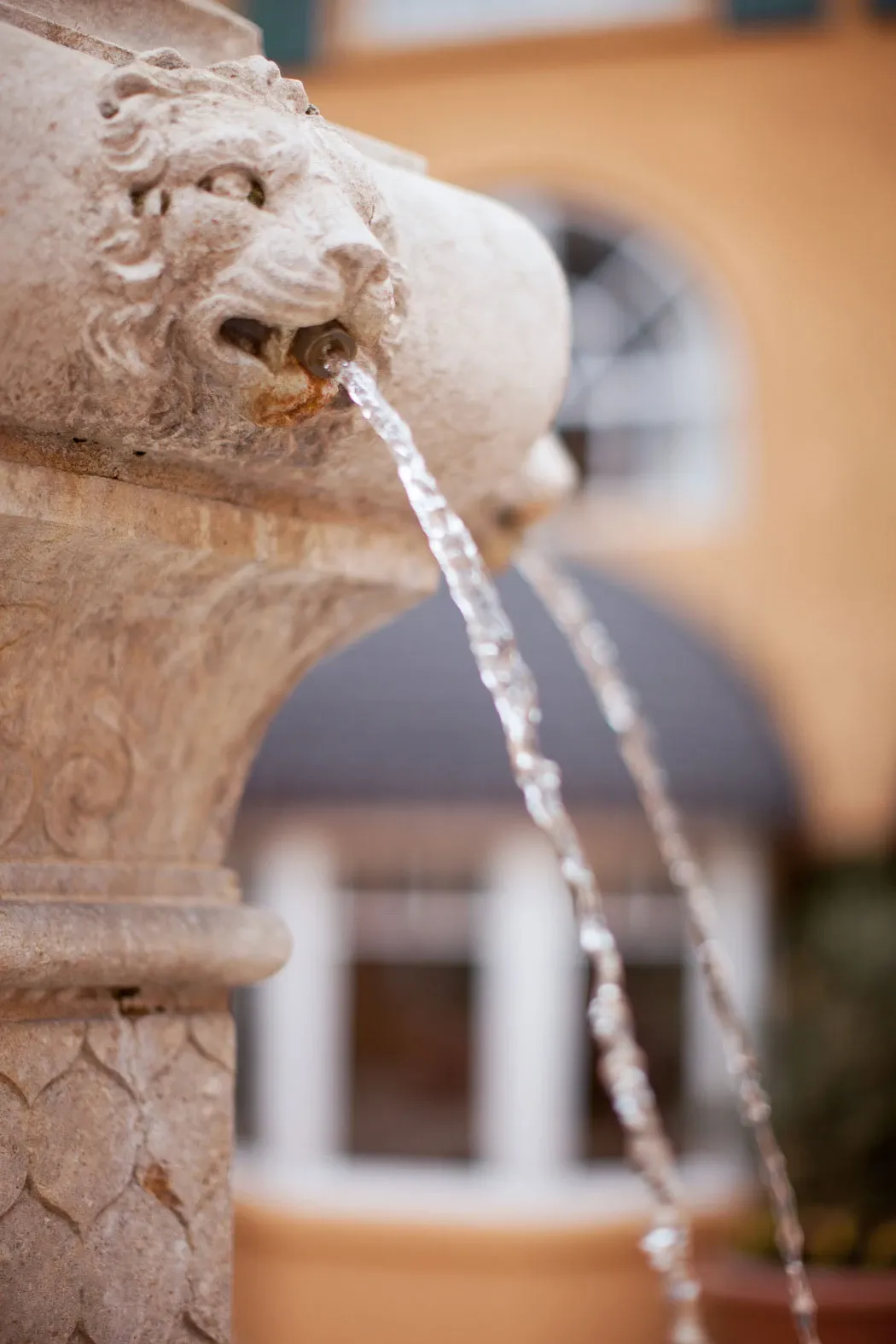 Lafayette Park Hotel & Spa