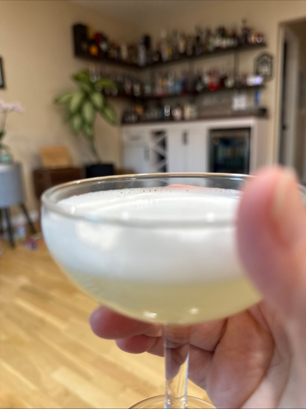 Pisco Sour