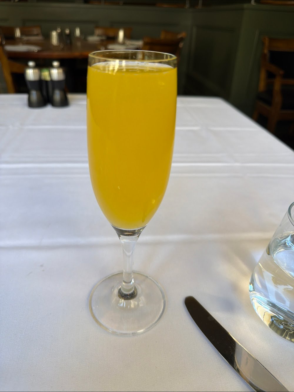 Mimosa