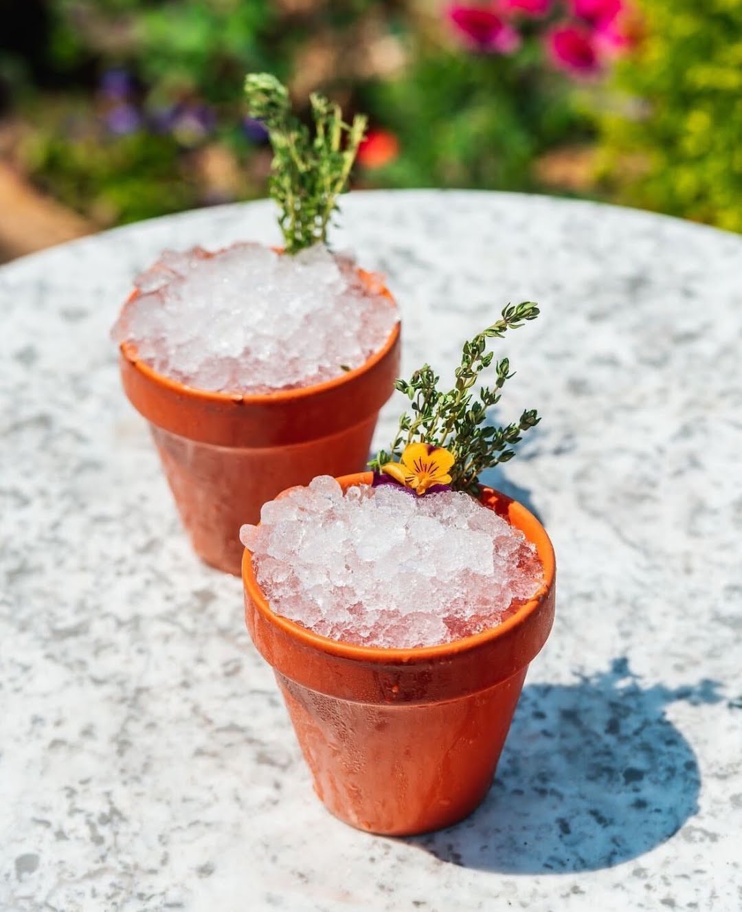 The Plant Pot