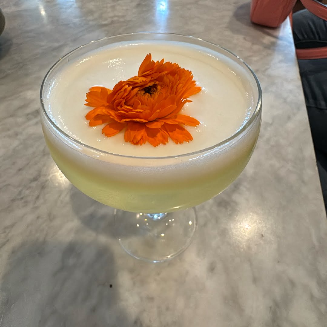 Pisco #5